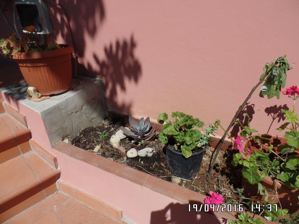 Agriturismo Le Caselle Cerbaia ภายนอก รูปภาพ