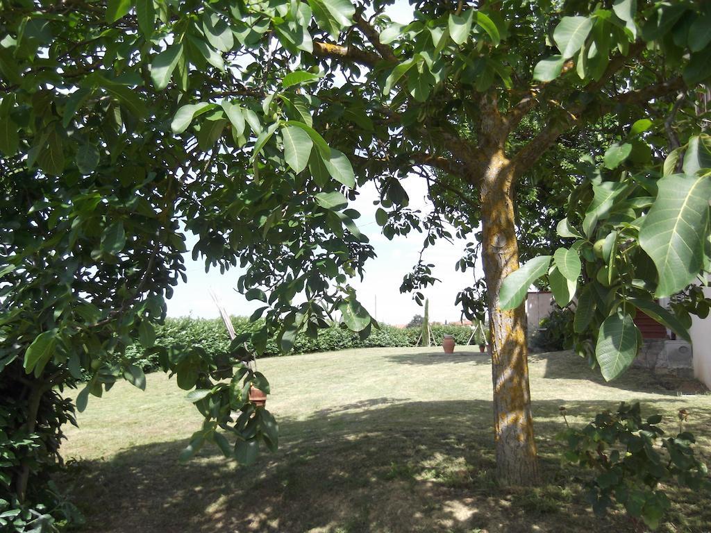Agriturismo Le Caselle Cerbaia ห้อง รูปภาพ