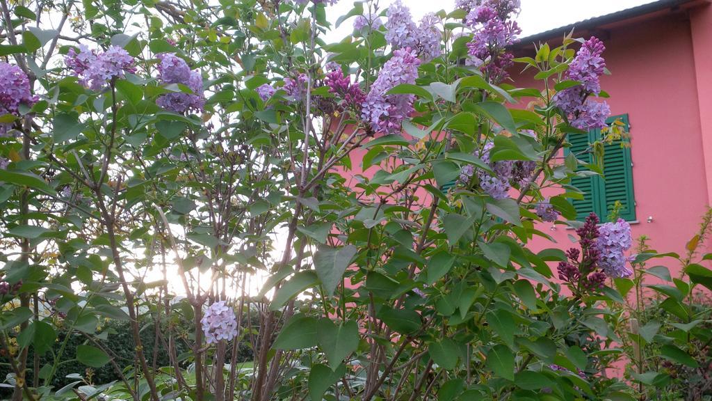 Agriturismo Le Caselle Cerbaia ภายนอก รูปภาพ